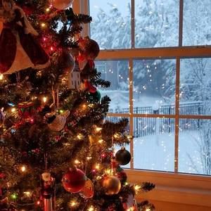 Meet your Posher, Camille